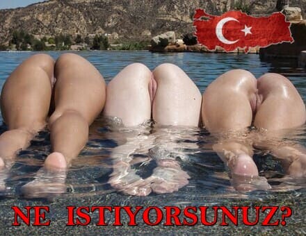 haklısın. Exporno cümle..., muhteşem